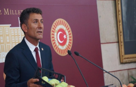 Trabzon Sürmene'deki rant sorunu meclis gündeminde!