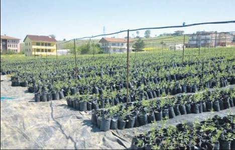 Polisan, Balıkesir'den arazi satın alarak tarım sektörüne adım attı!