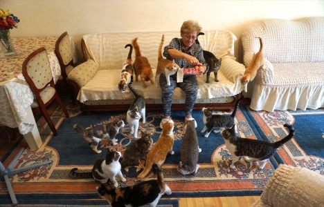 Nurgül Tokgöz, Tekirdağ'da 80 kedisiyle kiralık ev arıyor!