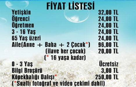 Forum İstanbul Turkuazoo Akvaryum giriş ücreti 2014!