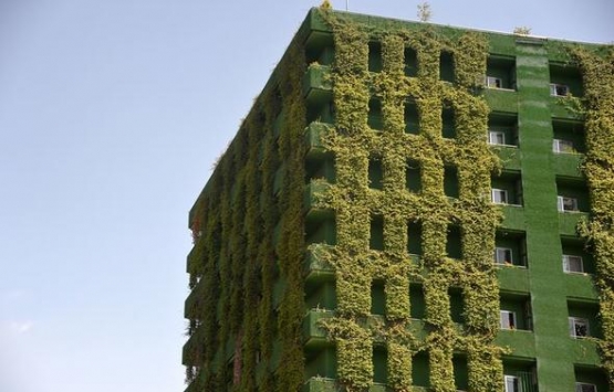 Adana daki sarmaşık bina görenleri şaşırtıyor!