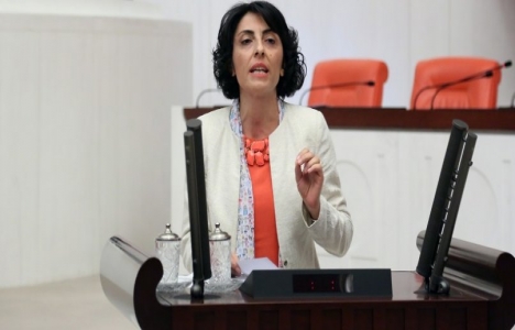 Bursa Altıntaş köyündeki göletler mecliste konu oldu!