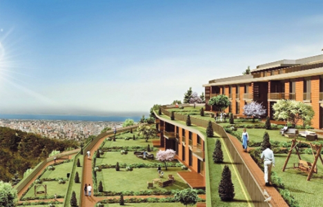 Asma Bahçeler projesi üniversitelerin dikkatini çekiyor!