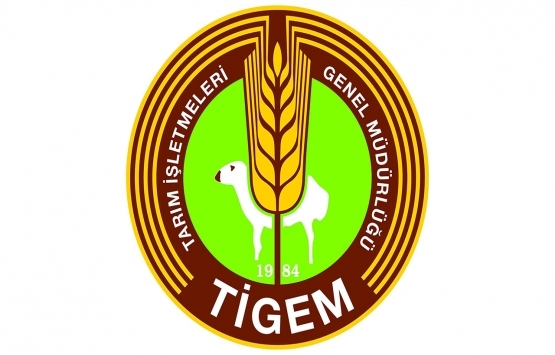 TİGEM, Arap Tayı Tanıtım ve Hippoterapi Merkezi'ni kiraya verecek!