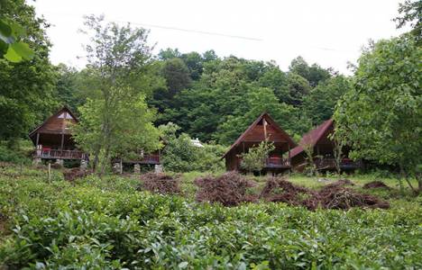 Bursa Karacabey'de icradan 1.7 milyon TL'ye satılık yaşam çiftliği ve tarla!