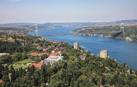 İstanbul'da 557 anıt ağaç!