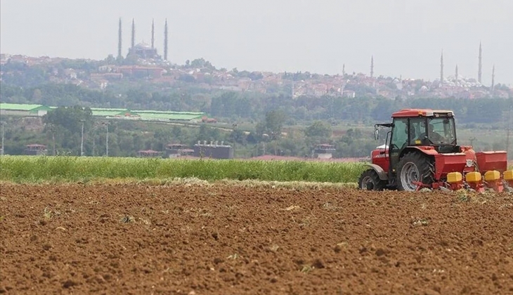Edirne de yerli hibrit ayçiçeği ekimi başladı! Yağlık ayçiçek hangi borsada bugün kaç TL oldu? Çiftçiler dikkat! 