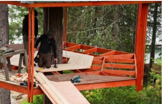 ABD deki ağaç ev görenleri hayran bırakıyor!