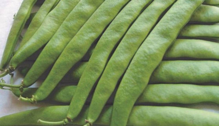 'Geleceğe atılan sağlam tohum' sloganıyla satış yapan Semen Ziraat ve Ticaret A.Ş.'nin konkordato talebi reddedildi!