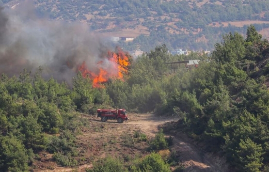 Ormana ev inşa edenlere önlem alınmalı!