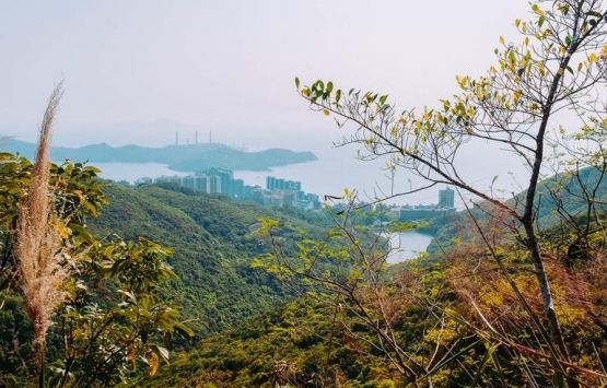 Jack Me, Hong Kong dan 191 milyon dolara ev aldı!