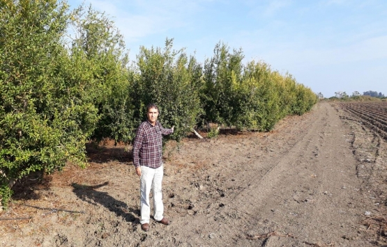 Çukurova Bölgesel Havalimanı nın inşaatı yılan hikayesine döndü!