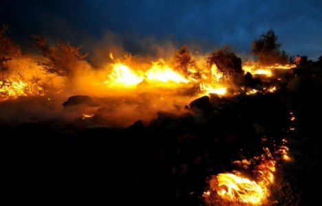 Bodrum'da Yalıçiftlik'te orman yangını çıktı!