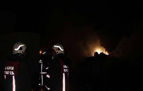  Ankara Nallıhan'da 20 hektar orman ile 500 dönüm bahçe yandı!