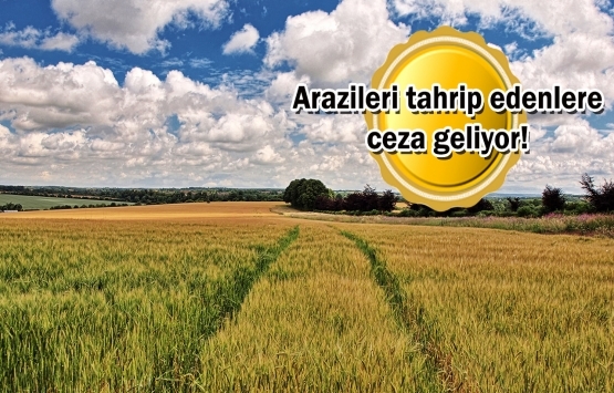 Mera alanları çiftçilere ücretsiz verilebilecek!