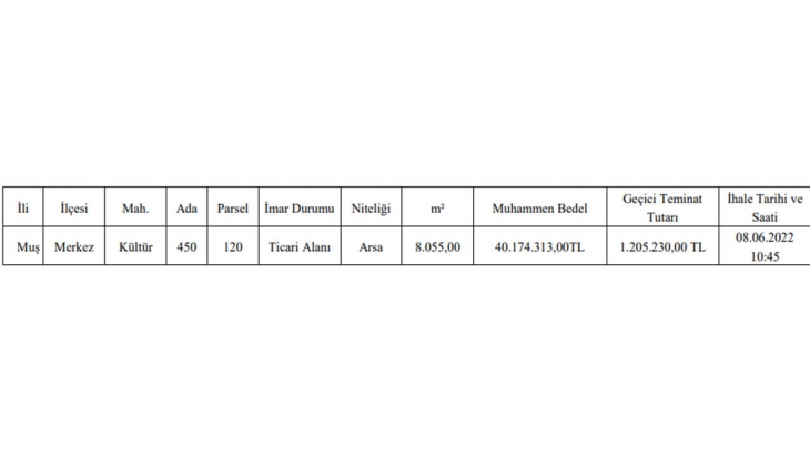 İl Özel İdaresi İl Encümeni Başkanlığı ticari alan imarlı arsa satıyor! Yatırımcılar dikkat!