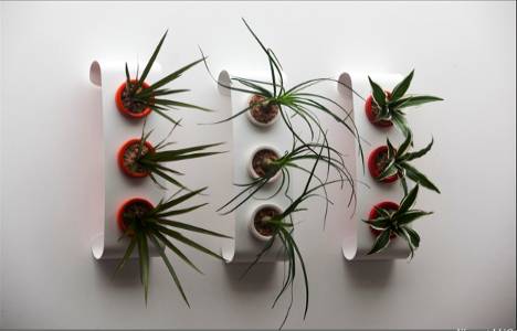 Flowerbox 2014 ürünleri