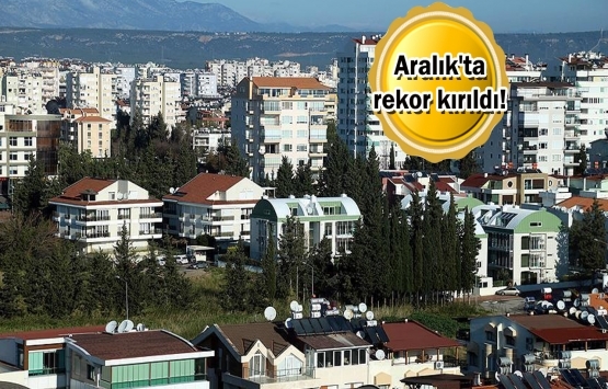 tüik konut satışları 2019