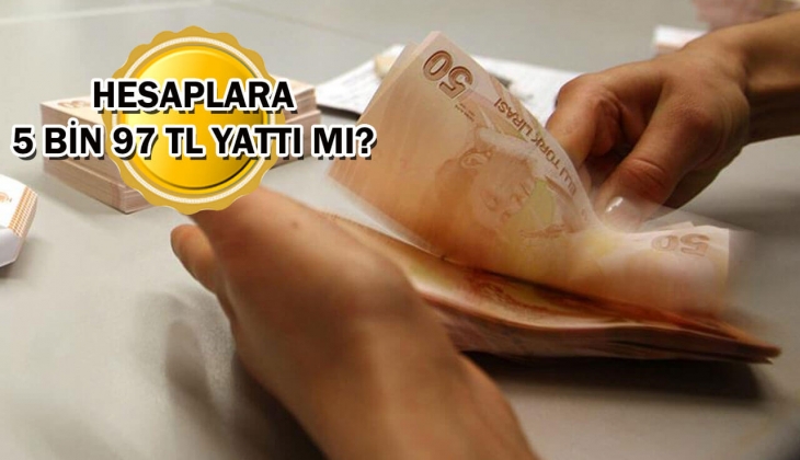 16 Ağustos evde bakım parası yatan iller açıklandı mı? Evde bakım yardımı sorgulama Ağustos 2023!