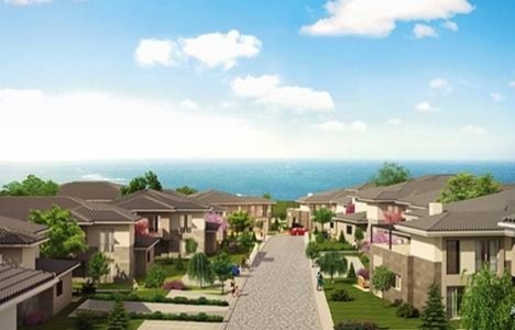 Beylikdüzü Dekar Asmalı Hayat ulaşım!