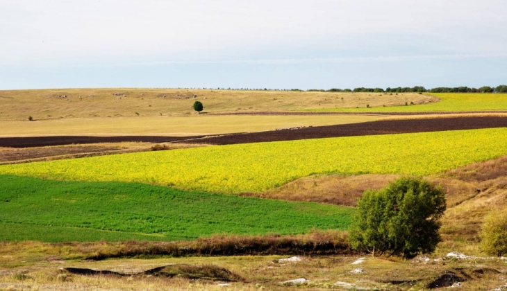 Belediye, İzmir ve Afyonkarahisar’da 12 adet arsa satıyor! 950 bin TL den başlayan fiyatlarla…