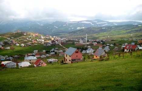 Ordu Çambaşı'na organik tatil köyü geliyor!