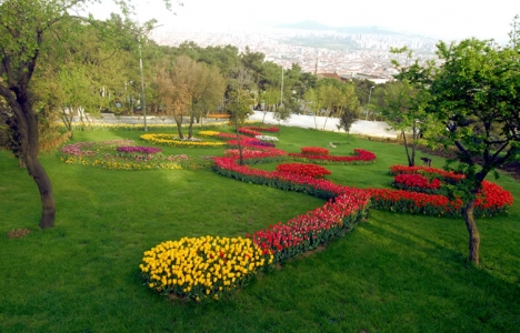 Küçük Çamlıca Korusu imar planı