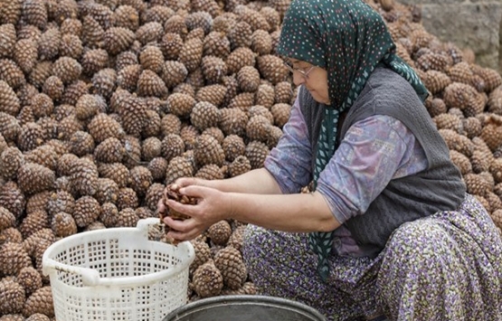 İzmir Kozak Yaylası nda Doğal Yaşam Parkı kuruluyor!