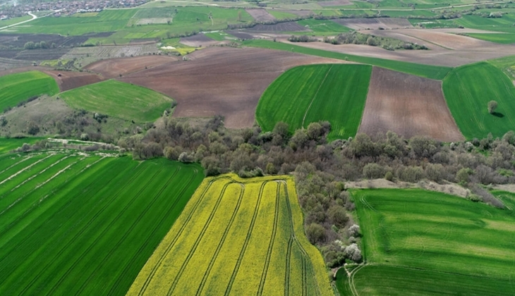 Miras kalan arazinin işlemleri için gittiği noterde hayatının şokunu yaşadı! Soyadı benzerliği arsayı 4 e böldü!