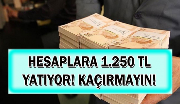 Aile Destek Programında son dakika müjdeleri peş peşe geldi! Hesaplara tek tek 1.250 TL yatırılıyor! Sakın kaçırmayın