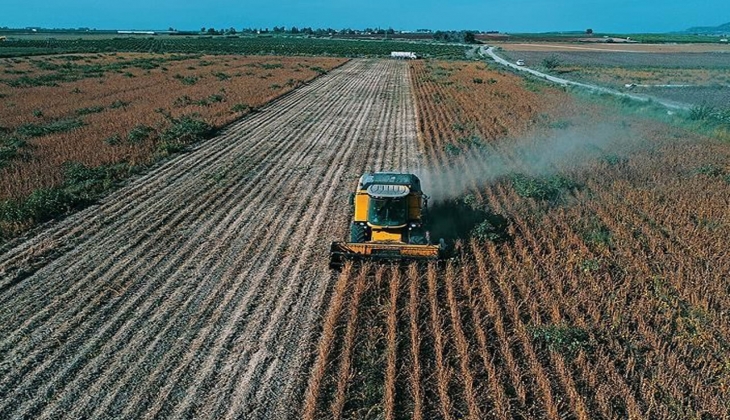 Çiftçiler bu haberi bekliyor! Son dakika mercimek fiyatları kaç lira? İşte 11 Mayıs 2022 fiyat listesi...