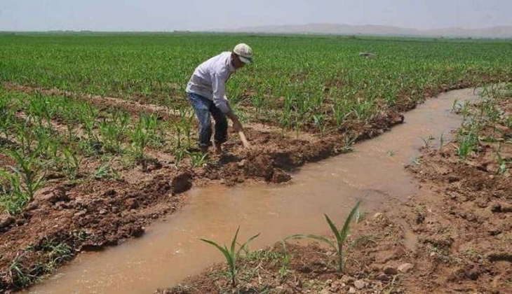Çiftçilere müjde! Artık sulama ücretlerinin yarısını devlet karşılayacak!