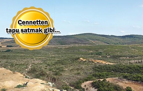 arsa dolandırıcıları