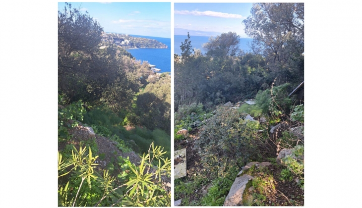 Bodrum Türkbükü ndeki zeytinlik alana 34.5 milyon TL lik yeni otel geliyor!