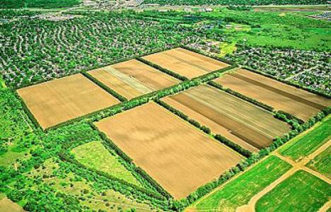 Mihrişah Valide Sultan arazilerinin tapu sorunu çözülüyor!