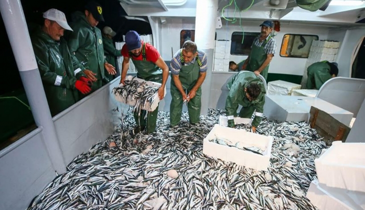 İstanbul Balık Hali'nde şok ucuzluk dip fiyatlar! İşte 28 Ekim 2022 fiyat listesi