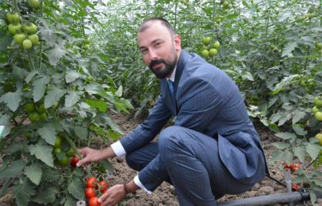 Trabzon Girişim Tarım sera yatırımdaki