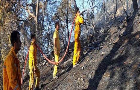 Kütahya'da orman yangını çıktı!