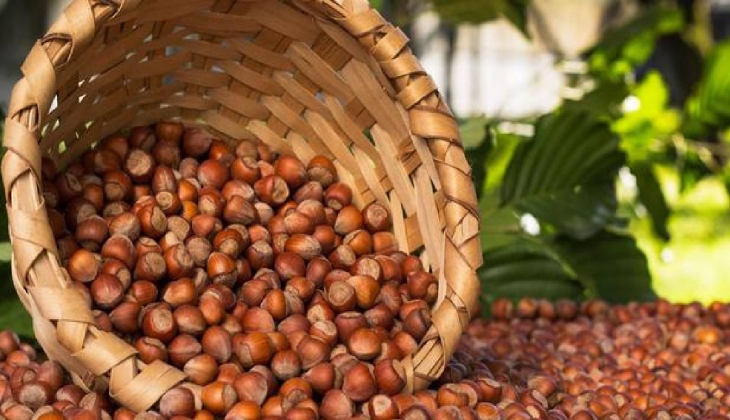 Fındık ihracatı belli oldu! Türkiye de İlk 2 ayda 358 milyon dolarlık fındık ihraç edildi