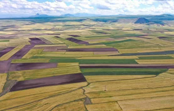 Arsa avcısı operasyonunda çarpıcı detaylar ortaya çıktı!