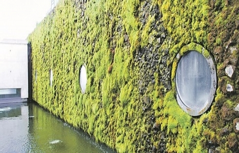 İşte dünyanın en yeşil 10 şehri!