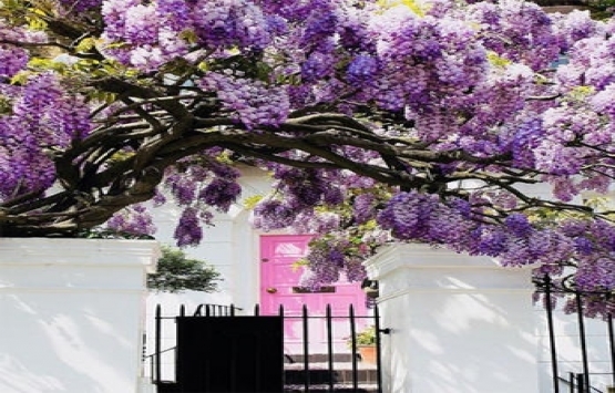 40 milyon dolarlık servti olan Khloe Kardashian bu evde yaşıyor!