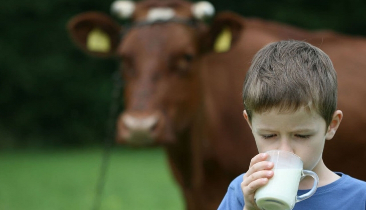 Süt fiyatlarında tehlikeli gelişme! Hayvancılık sektörüne faturası ağır olur