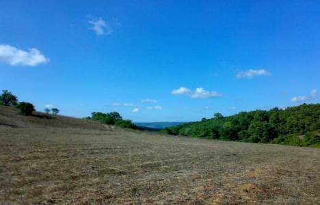 Kamulaştırılan alanda pazar yeri işletilebilecek!