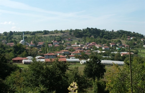 Yalova Kirazlı'da 5.8 milyon TL'ye satılık 2 arsa!