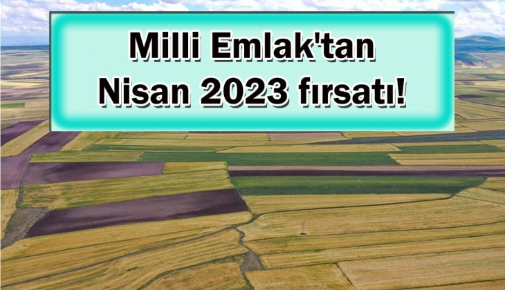 Milli Emlak'tan Nisan 2023 fırsatı! 19 bin 250 TL'ye arazi satacak! Kaçırmayın!