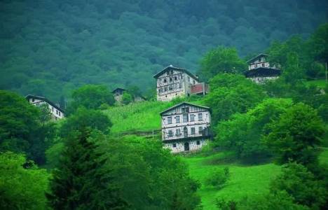 Giresun'da yaylalar kiraya verilecek!