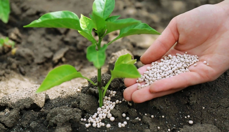 Gübre fiyatları yenilendi! İşte 02 Nisan 2023 fiyat listesi