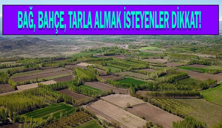 Kahramanmaraş'ta 23 bin 527 TL'den başlayan fiyatlarla arsa fırsatı! 37 gayrimenkul satılıyor!