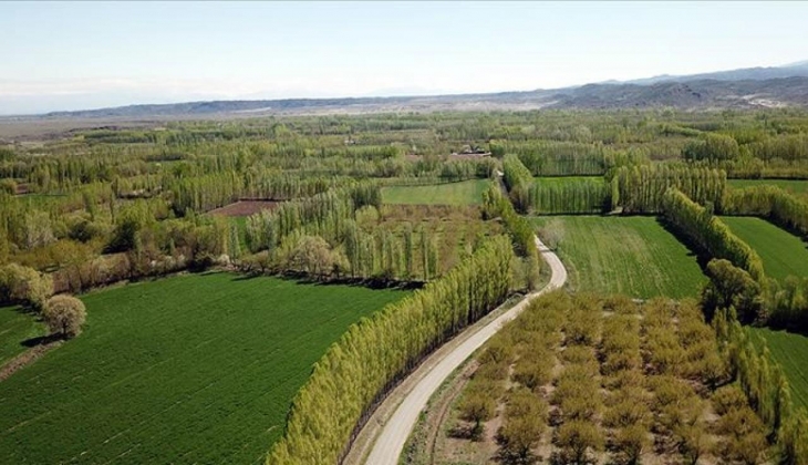 Kelepir arsa arayanlar bu habere hemen bakın! Milli Emlak'tan her bütçeye uygun arsa satışı başladı